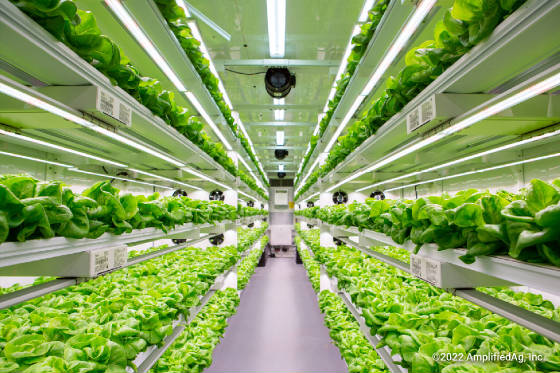 SCprisonverticalfarming.jpg